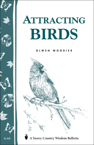 جذب پرندگان