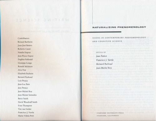 طبیعی سازی پدیدارشناسی