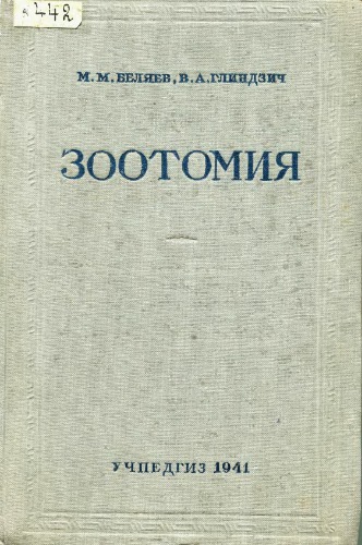 ﻿زوتومی مهره داران