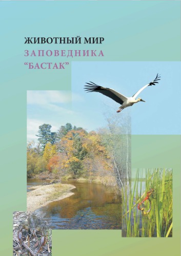 ﻿دنیای حیوانات ذخیره گاه 