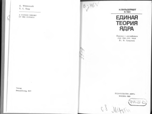 ﻿نظریه هسته واحد