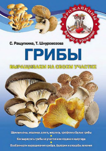 ﻿ما در منطقه خود رشد می کنیم.