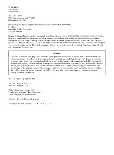 آسیب و ترمیم عصب. بازسازی ، بازسازی و بازسازی قشر