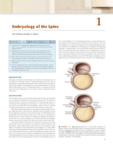 درمان جامع ستون فقرات
