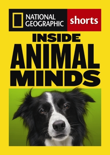 Inside Minds Animal: علم جدید هوش حیوانات