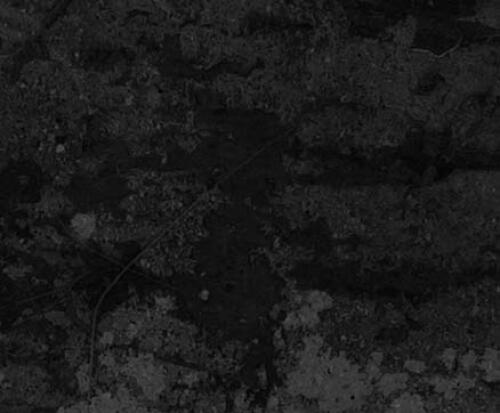 Damn Few: ساخت مدرن SEAL Warrior