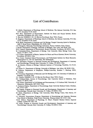 ﻿مغز خودسازمانده: از مخروط های رشد تا شبکه های عملکردی