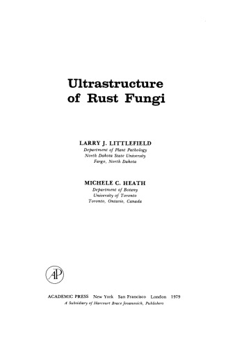 ﻿فراساختار قارچ زنگ