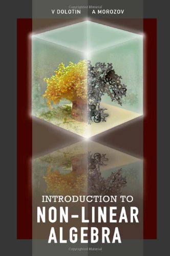 ﻿مقدمه ای بر جبر غیر خطی