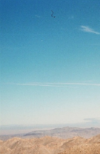 ﻿راهنمای موفقیت مدیر فروش