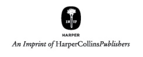 ﻿گمشده در آمریکا: سفری بن بست