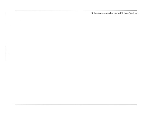 آناتومی بخش مغز انسان: یک اطلس عکاسی از بخشهای سریال گچ