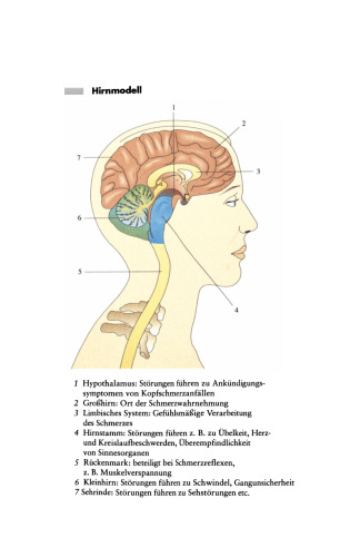 ﻿سردرد: رنج هایی که انسان نباید آنها را بپذیرد