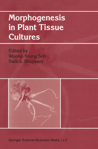 ﻿مورفوژنز در فرهنگ های گیاهی