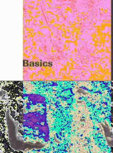 ﻿مبانی: عناصر اساسی معماری و پویایی آنها