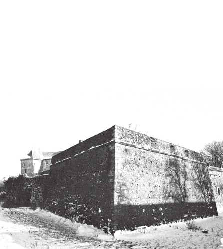 ﻿شمشیرهای رزمی از مجموعه موزه قلعه اوژگورود