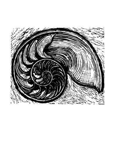 ﻿مبانی روانشناسی رشد