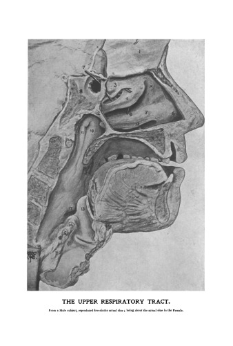 ﻿بیماری های دستگاه تنفسی فوقانی. بینی، حلق و حنجره