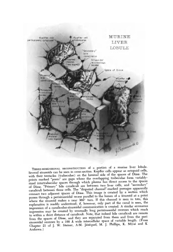 ﻿پیشرفت در بیماری های کبدی جلد 2