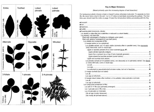﻿کلید نباتی فلور بریتانیا