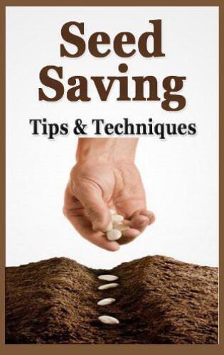 ﻿صرفه جویی در بذر - تمام اسرار ذخیره دانه ها را کشف کنید - نکات و تکنیک ها: همه آنچه برای ذخیره بذر باید بدانید