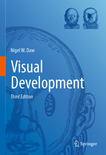 ﻿توسعه بصری