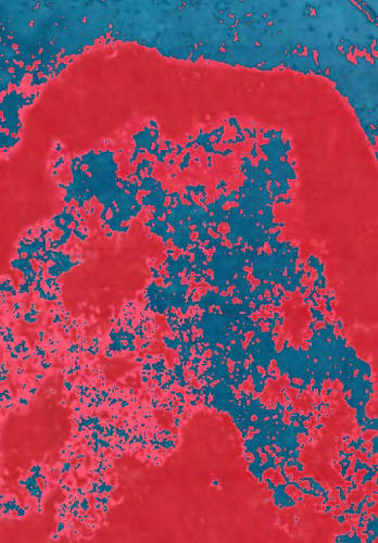 آنزیم های Subtilisin: مهندسی پروتئین عملی