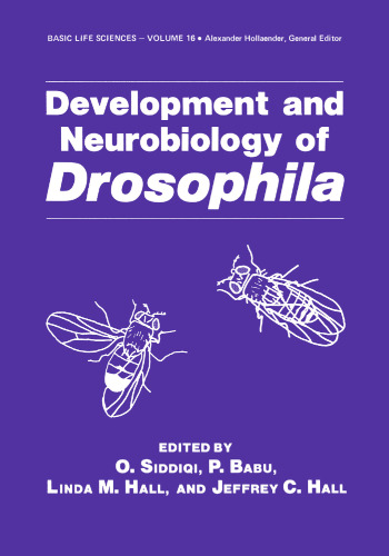 توسعه و عصب شناسی Drosophila