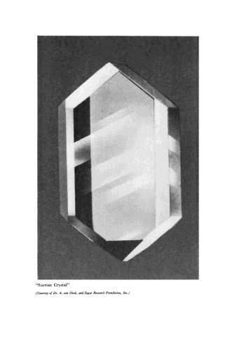 ﻿ساخت و تصفیه شکر عصای خام