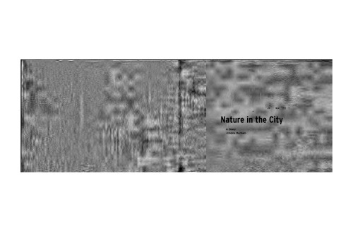 ﻿طبیعت در شهر