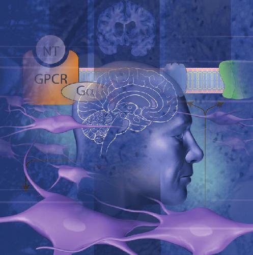 ﻿علوم اعصاب پزشکی کلینیک مایو