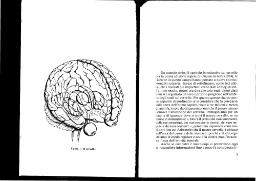 از سر استفاده می کنیم