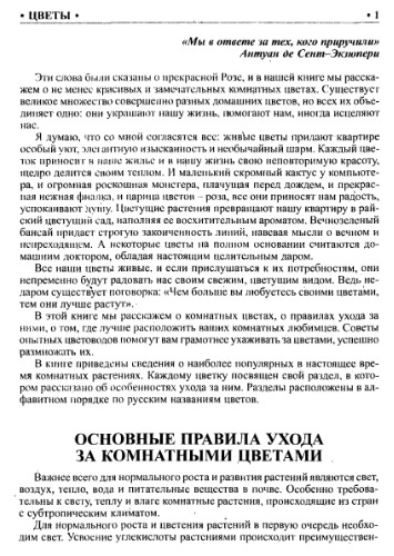 ﻿گل های داخلی.