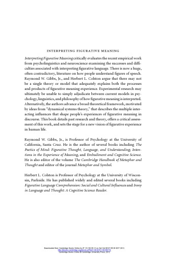 تفسیر معنای تصویری