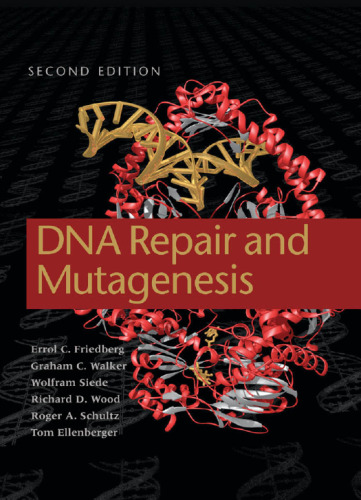 ﻿ترمیم DNA و جهش زایی