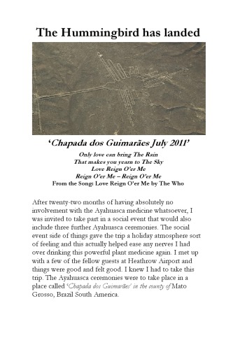 ﻿پرنده هومینگ فرود آمد