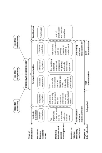 ﻿انگیزه درونی و خودتعیینی در ورزش و ورزش