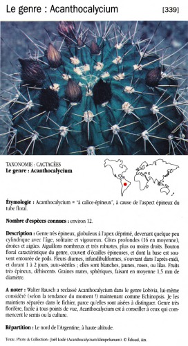 پرونده دایره المعارف از کوکتل و سایبان دیگر