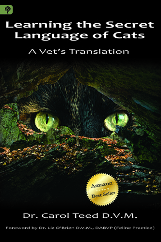 ﻿یادگیری زبان مخفی گربه ها