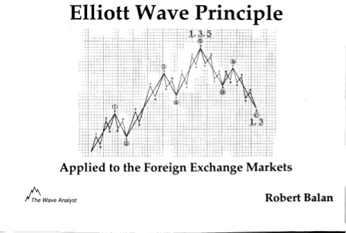 ﻿اصل موج الیوت