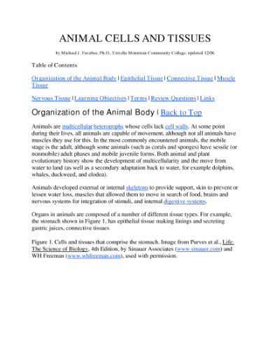 ﻿سلول ها و بافت های حیوانی