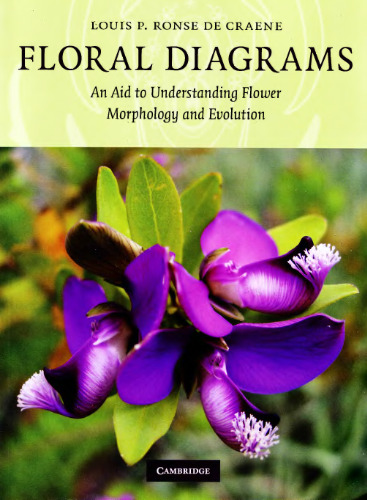 ﻿نمودارهای گل