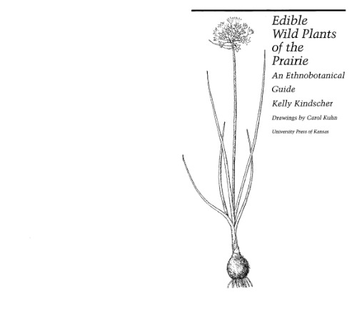 ﻿گیاهان وحشی خوراکی دشت: راهنمای قومی گیاه شناسی