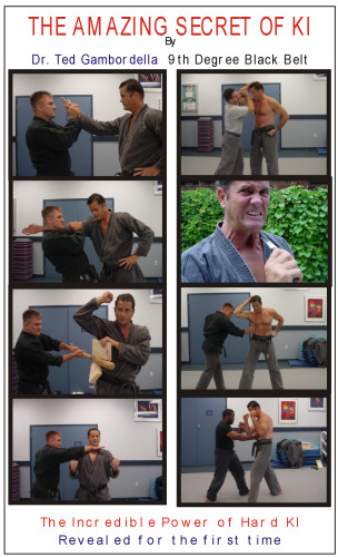 ﻿رازهای شگفت انگیز استادان هنرهای رزمی