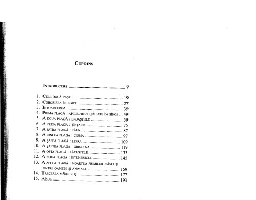 ﻿مصر داخلی