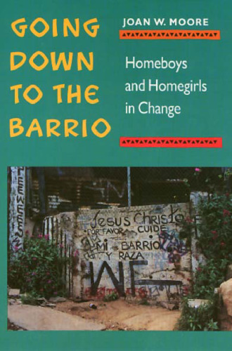﻿Going Down to the Barrio: Boys and Home Girls in Change