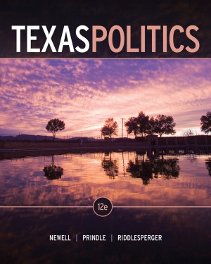 ﻿سیاست تگزاس