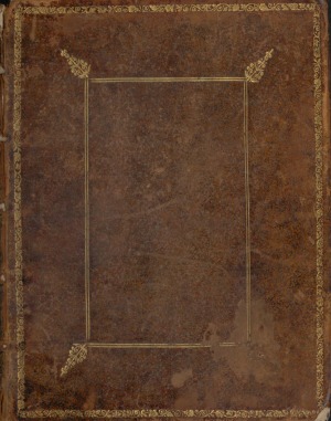 ﻿کشتی سازی جدید هلندی. پرچم ها