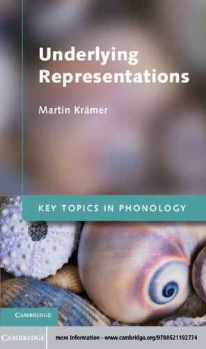 نمایندگی های زیر