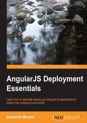 ﻿ملزومات استقرار AngularJS